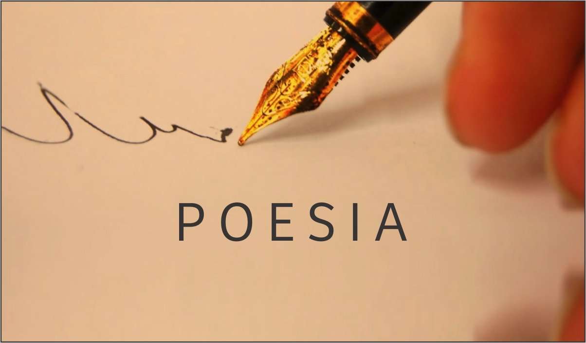 299. Nas tramas da poesia 299. Nas tramas da poesia