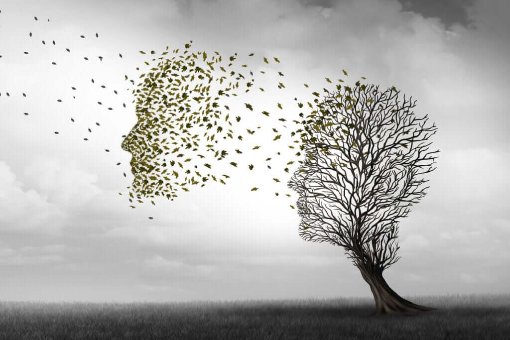 526. “Sou por acaso uma cabeça de cachorro de Judá? 526. “Sou por acaso uma cabeça de cachorro de Judá?